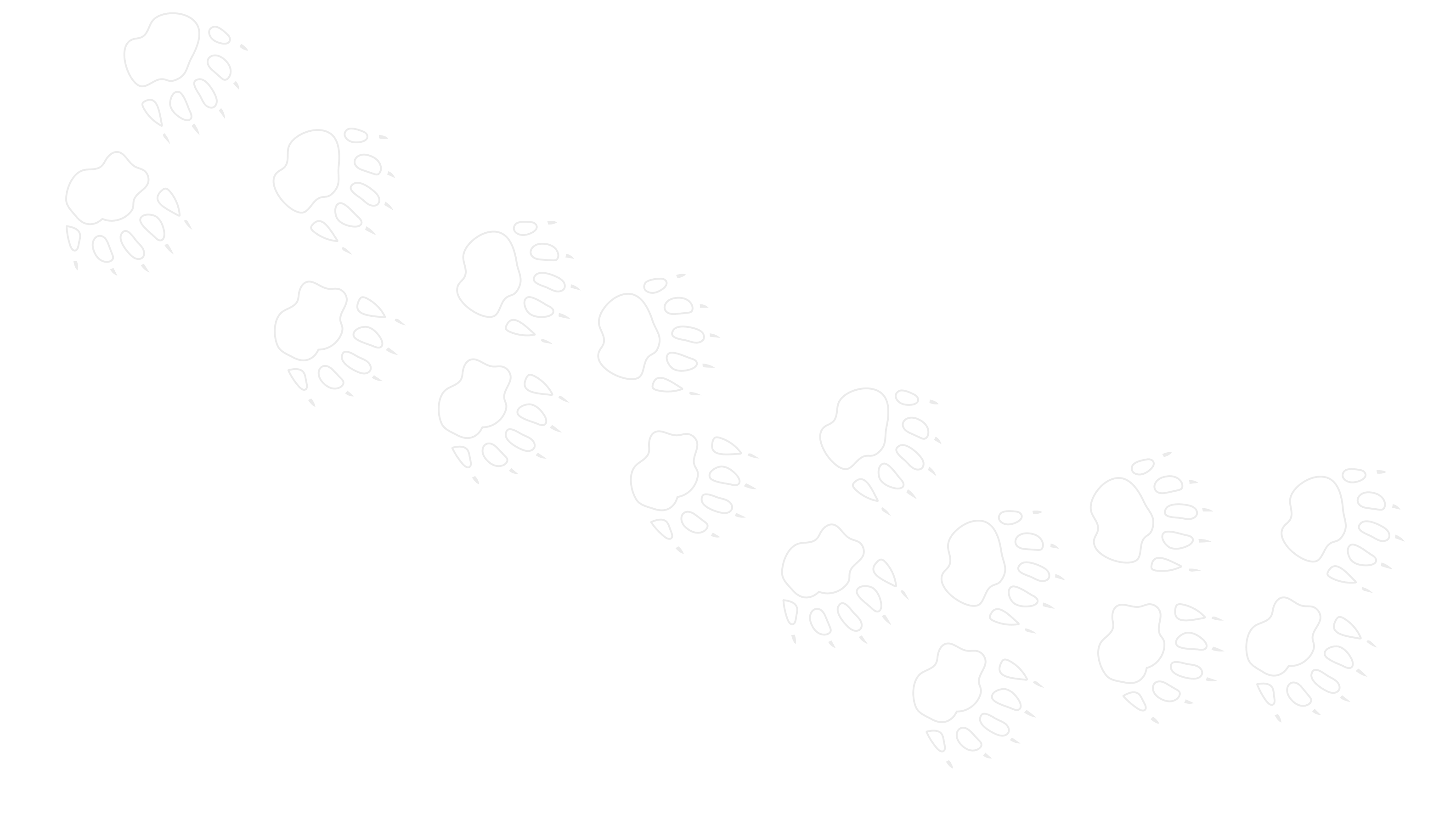 footprint-2.png